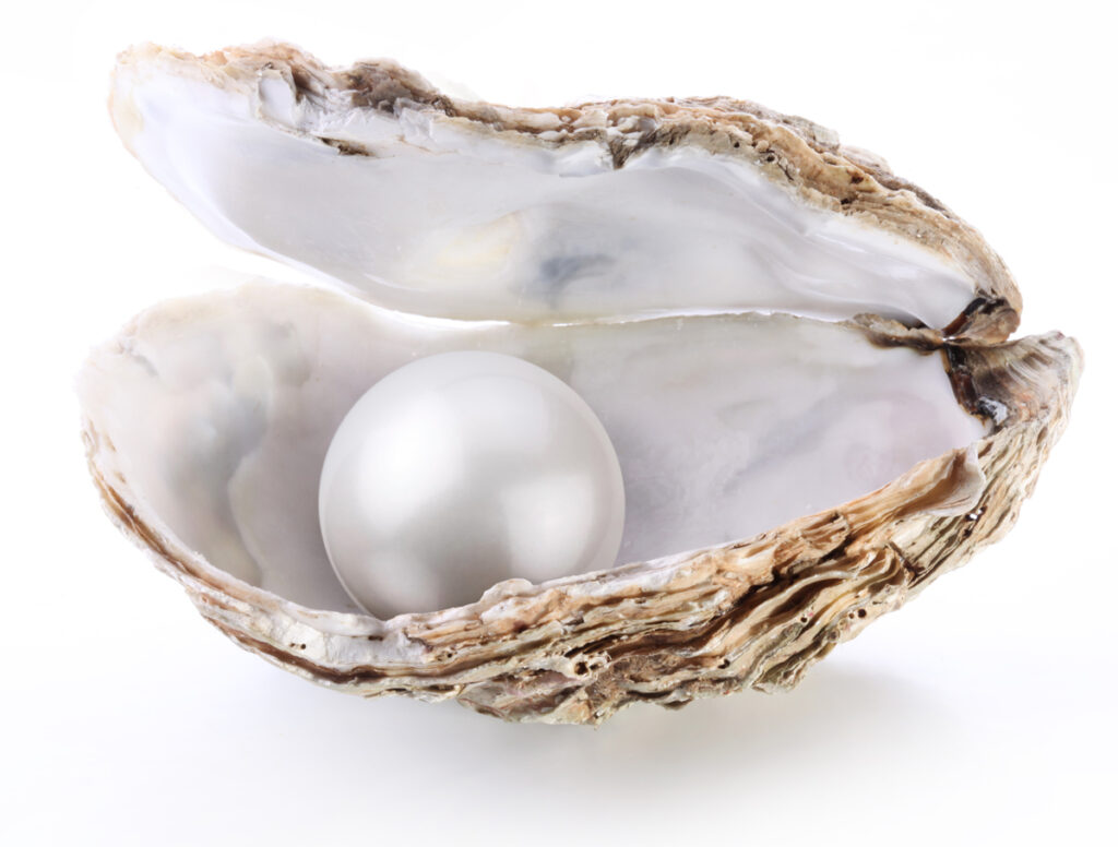 The Pearl: from the old French word 'perle' | Photo: Depositphotos